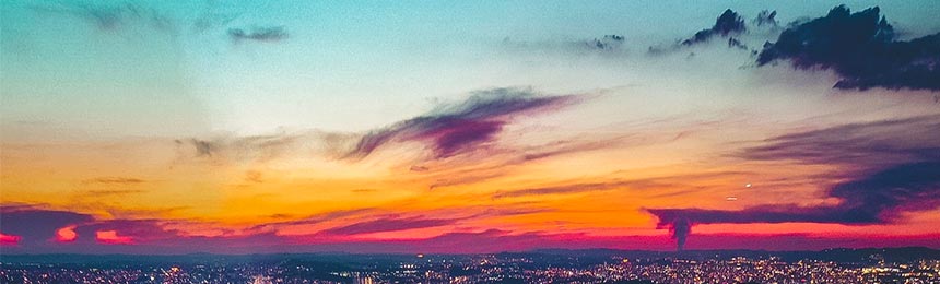 平阳茶虫网_平阳品茶